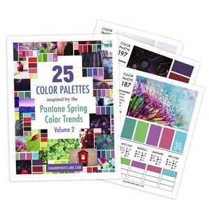 25 Palettes de couleurs inspiré par les tendances de la couleur Pantone printemps Volume 2 image 1