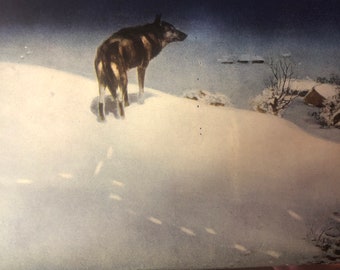Lone Wolf 4 Looking over Village Winter Alfred Kowalsky-Wierusz 12 x 16