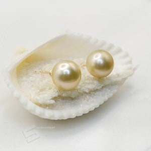 Golden Cultured Pearl 18KT Gold Studs,9-10MM South Sea Pearl Golden Pearls In Solid Gold Stud Earrings, Saltwater Golden Pearl And Gold