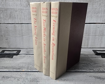 Webster's New Twentieth Century Dictionary Volume 2 1959, Antique