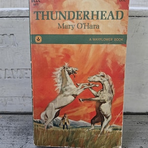 Thunderhead book by Mary O&#39;Hara vintage, horse book vintage, Thunderhead paperback, vintage Mary O&#39;Hara book, vintage horse book novel