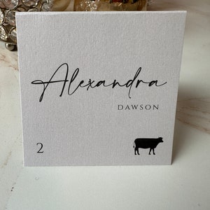 printed wedding place cards with icons, custom place card icons for meal choices, meal choice icons on wedding place cards, seating cards
