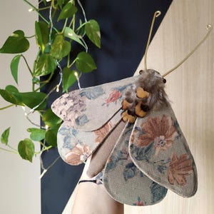 May include: A decorative moth made of fabric with a floral pattern. The moth has a brown and yellow fuzzy body and gold wire antennae.