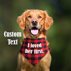 Personalized Dog Bandana - Triangle Dog Bandana - Custom Dog Bandana - Dog Mom Gift- Dog Dad Gift - Personalized Gift for Dog - Dog Bandana