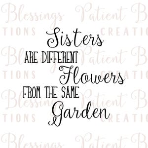 May include: Black and white text graphic that reads "Sisters are different flowers from the same garden".