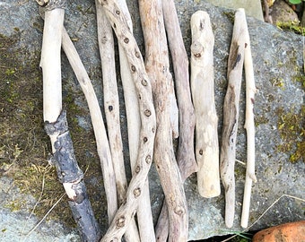 #853 Three 66 Aspen Hiking Stick/Carving Blanks 