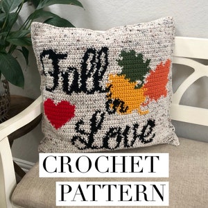 Fall in Love Crochet Pillow Pattern