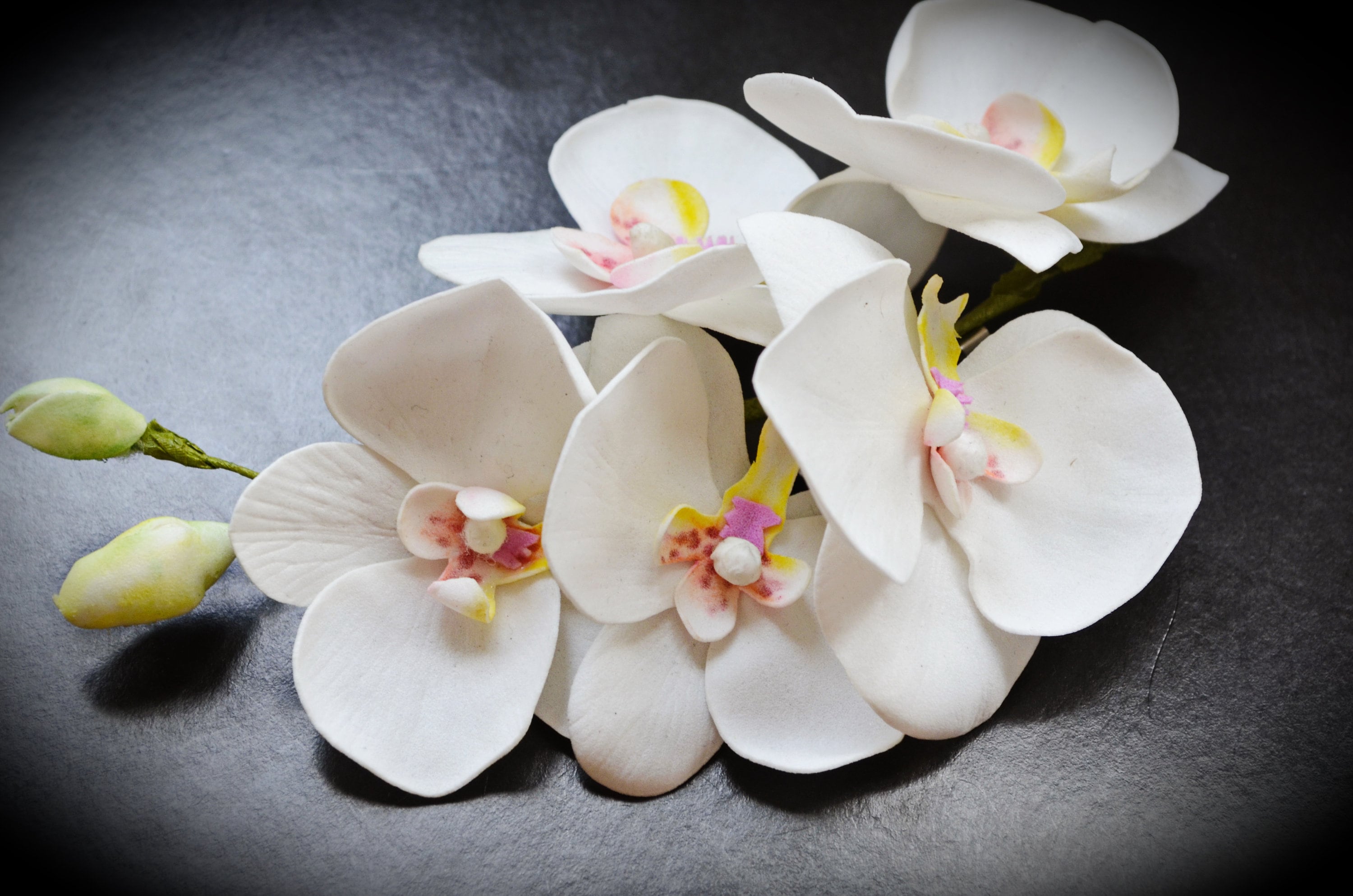 Orchid Floral Brooch White Flower Pin Phalaenopsis Orchid Etsy