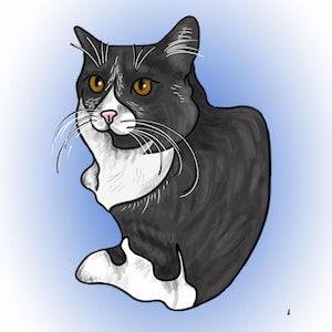Custom Pet Portait Head Only