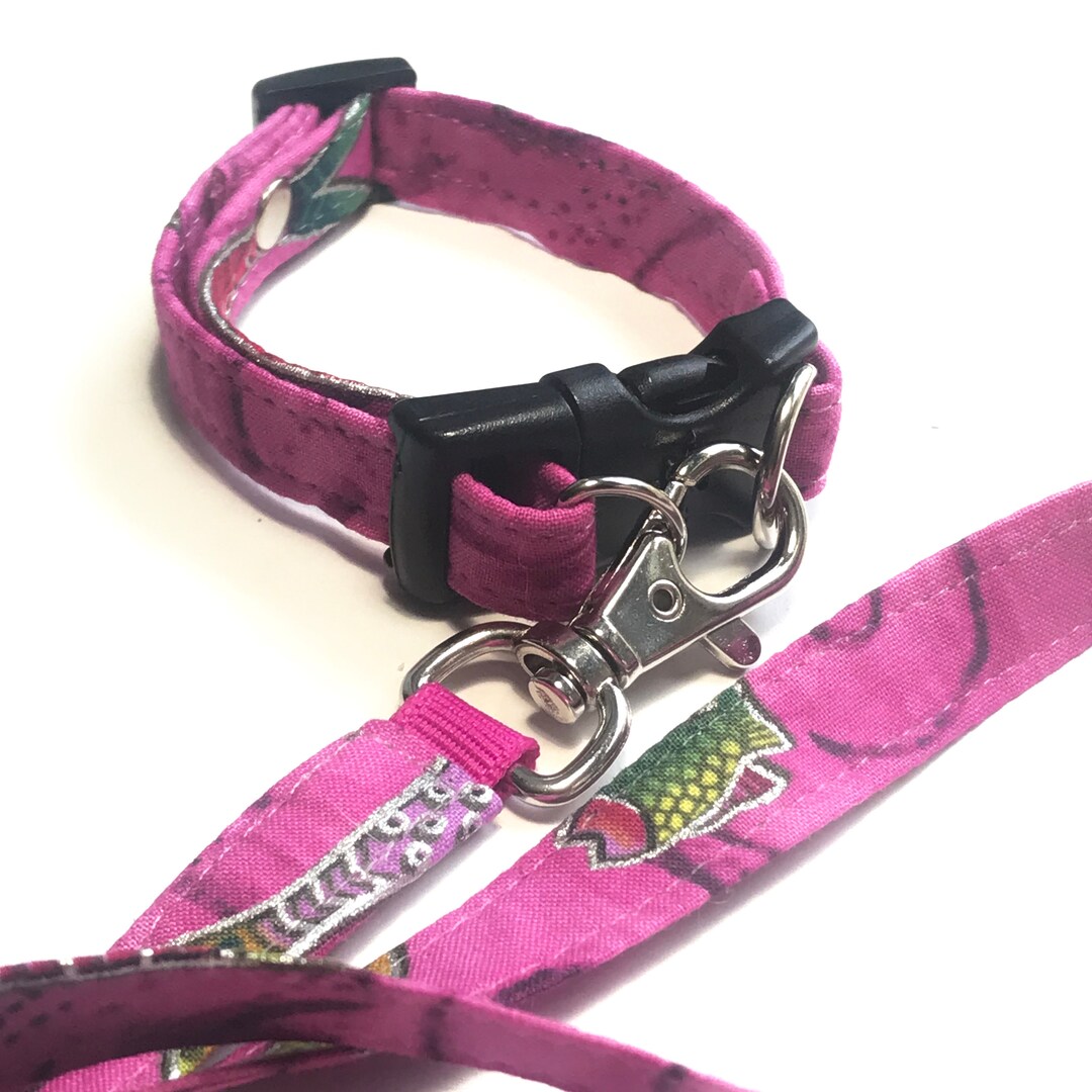 Marmoset and Capuchin Belly Band With Matching Leash Etsy