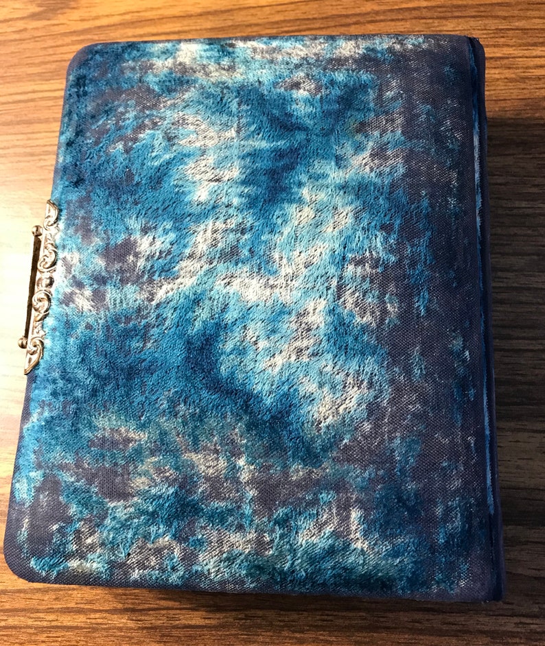 Stunning Molded Celluloid Photo Photograph Album 1890/'s with Pictures Art Noveau #390