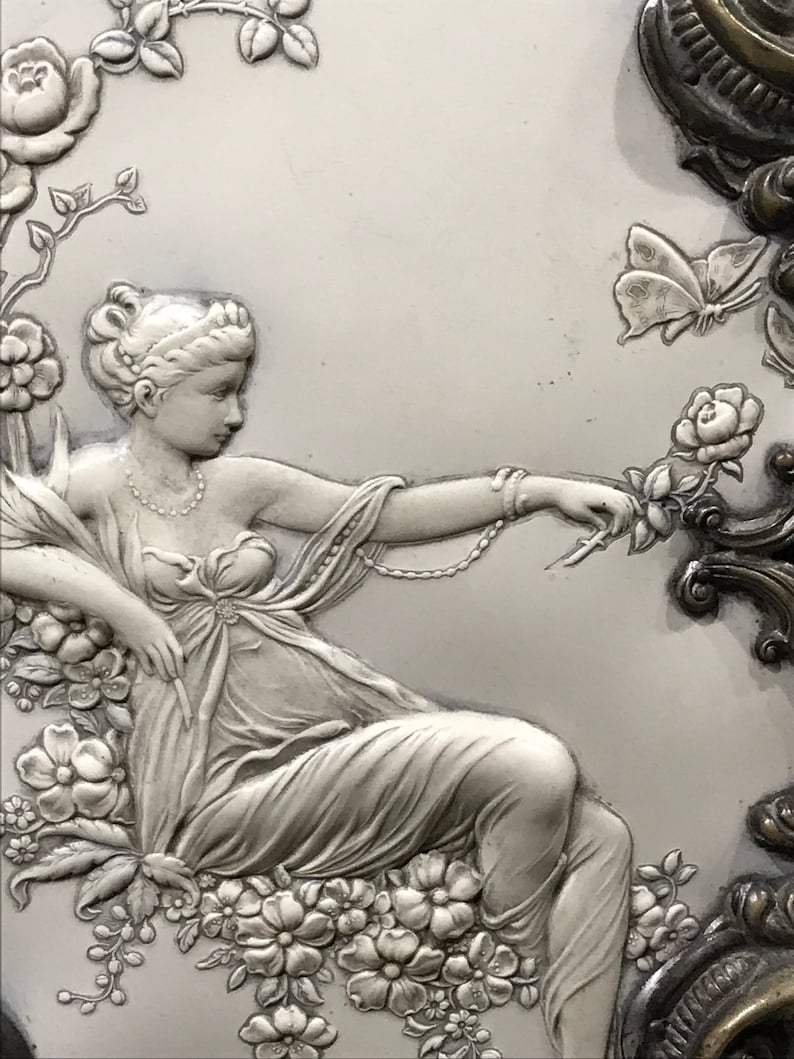Stunning Molded Celluloid Photo Photograph Album 1890/'s with Pictures Art Noveau #390