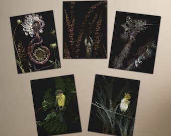 Dark Art Greeting Cards, 5-Pack, Elegant Beauty, Dead Things oddities, gothic, Halloween Stationary, Fine Art Photography