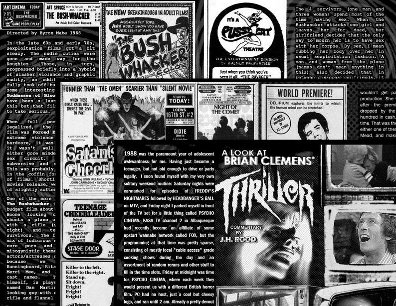 DRIVE-IN ASYLUM Issue 19 April 2020 Dante Tomaselli, Terry TenBroek, Thriller, Manhattan Baby, Cellat, vintage ads and lots more image 2