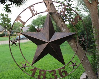 Saraheve Targa Metallica Decorativa Bandiera Del Texas 40x30 Cm – Rustica Per Garage, Bar, Casa, Regalo Patriottico