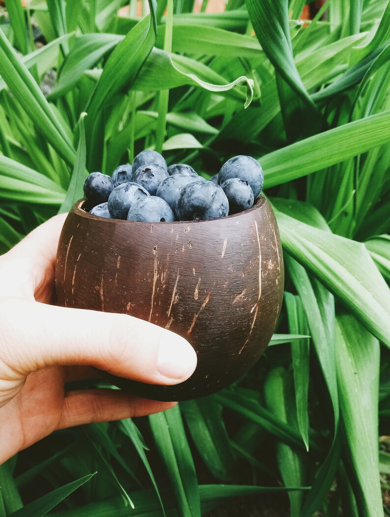 Coconut drinking travel cup 2 pieces Etsy