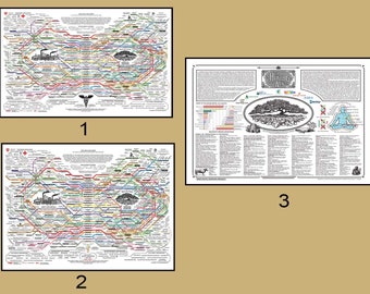 The Healing Web Chart - Comprehensive Natural Remedies Poster - Healing Web poster - the Healing Web poster