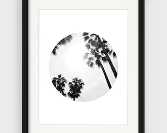 Black and White Photography, Minimal Photography, Palm Tree Print, Downloadable Print, Modern Home Decor, Print at Home, Black & White Print