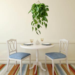 K&ouml;nnte beinhalten: Ein wei&szlig;er Esstisch mit zwei wei&szlig;en St&uuml;hlen und einer H&auml;ngepflanze. Der Tisch ist mit zwei Gedecken gedeckt, jedes mit einem wei&szlig;en Teller, einem Glas und einer Serviette. Die St&uuml;hle haben blaue Kissen. Der Tisch steht auf einem gestreiften Teppich.