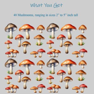May include: A collection of 48 watercolor painted mushrooms in various shades of red, brown, and white. The mushrooms range in size from 2 to 5 inches tall.