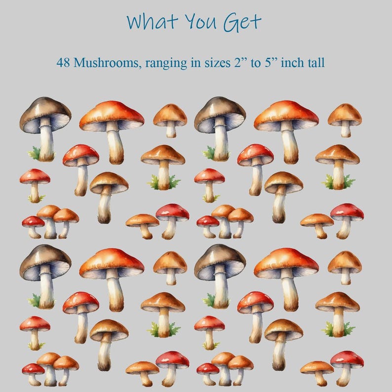 May include: A collection of 48 watercolor painted mushrooms in various shades of red, brown, and white. The mushrooms range in size from 2 to 5 inches tall.