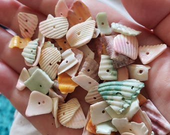 May include: A collection of small, colorful seashells with holes drilled through them. The shells are various shapes and sizes, and some have a natural iridescent sheen.