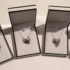 Shark tooth necklace