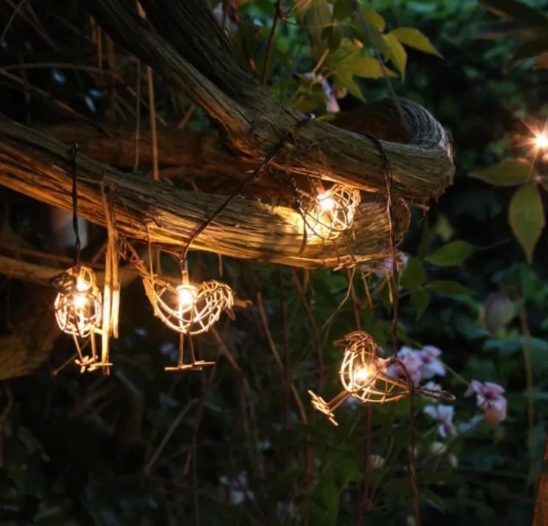 Rebine String Garden Light String of 10 Mini Hanging Robins - Battery or Solar ...