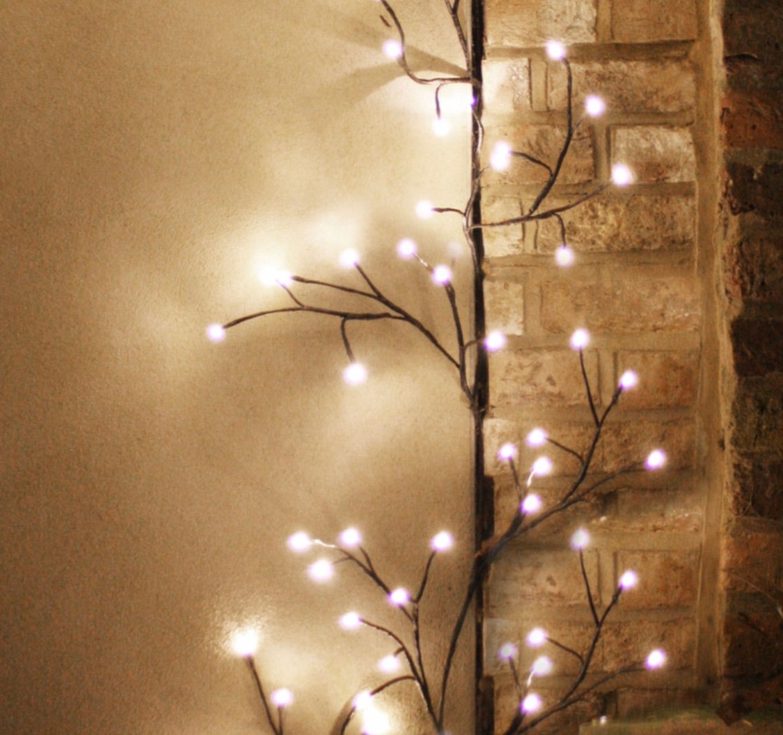 Ivy fairy lights indoor lights or outdoor fairy climber Etsy
