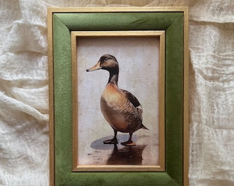 Vintage duck framed picture. Vintage wall art 10x15 cm. Frame included.
