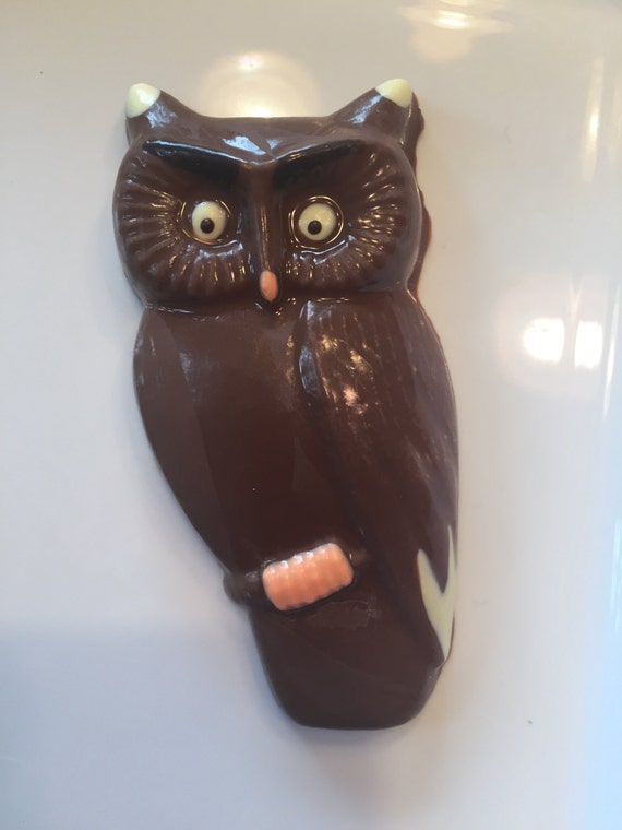 Chocolate Owl, Chocolate Owl Favor, Chocolate Owl Gift Il_570xn