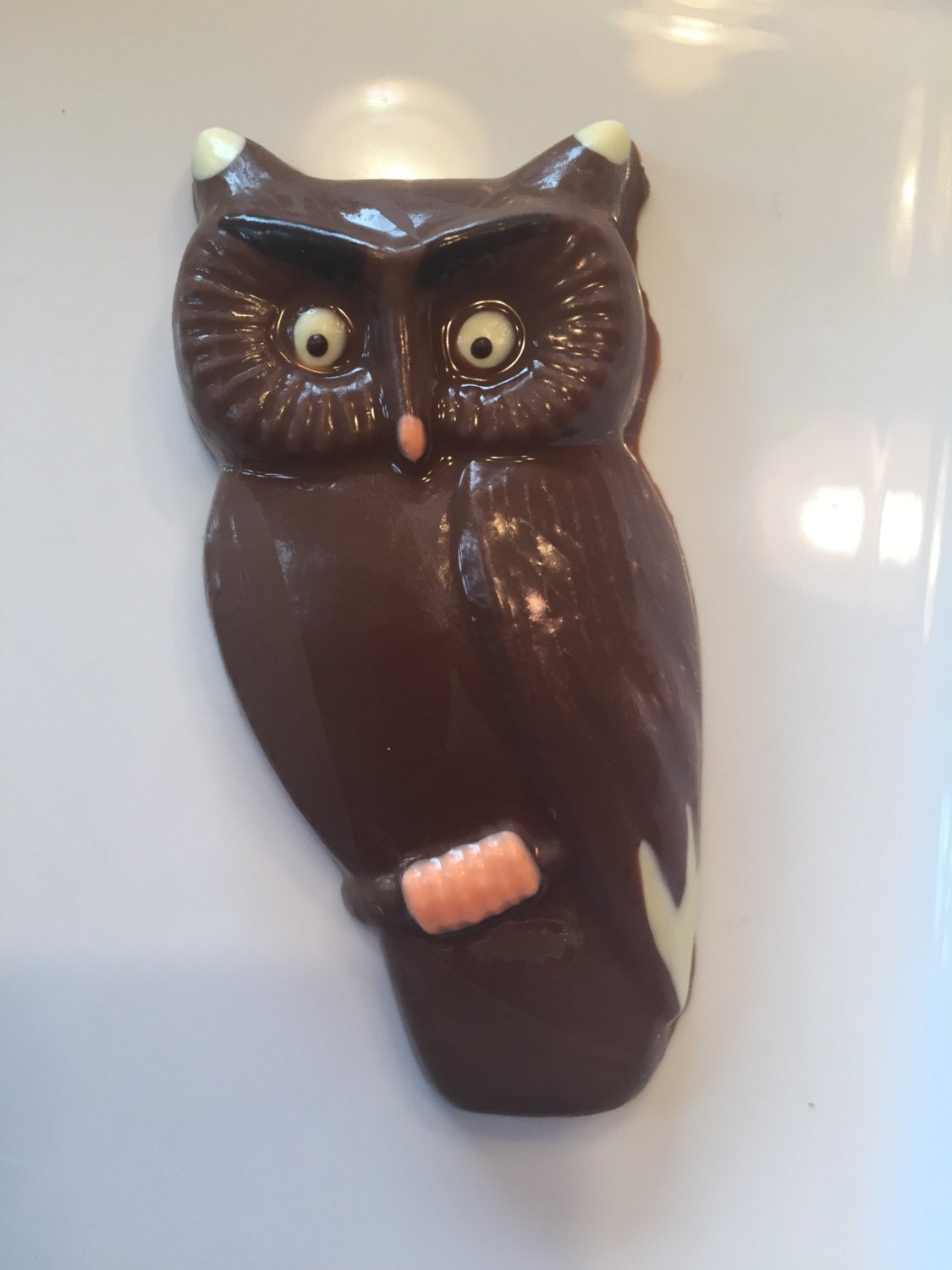 Chocolate Owl Chocolate Owl Favor Chocolate Owl Gift Etsy