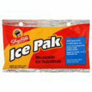 Ice Pack and insulated pouch for cold shipping.