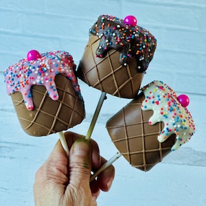 Jumbo Chocolate Dipped Marshmallows (Set of 12)