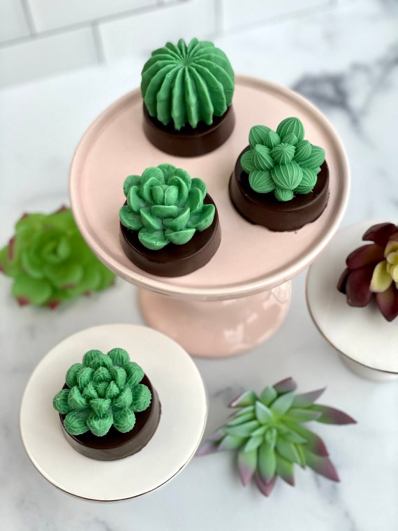 Set of 4 Succulent Cookies, Succulent favors, Wedding Favors, Cactus, Mother's Day, Housewarming Gift, Birthday Gift, baby shower Il_570xn
