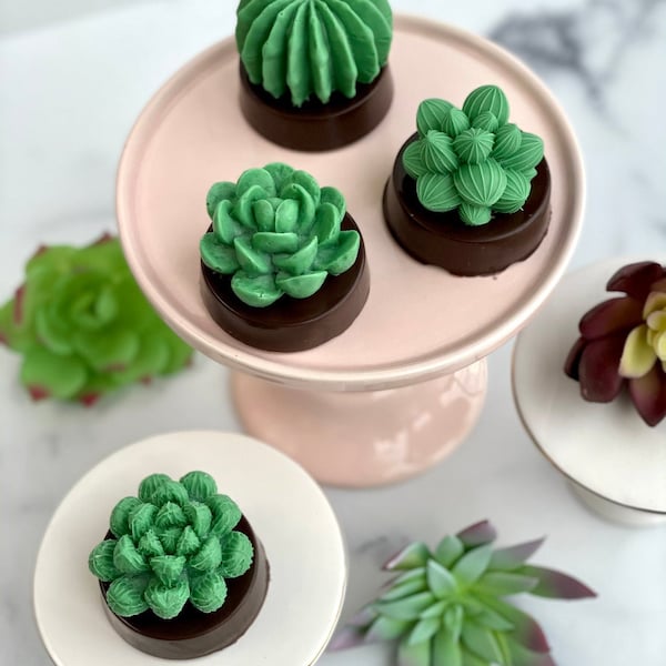 Lot de 4 biscuits succulents, cadeaux succulents, cadeaux de mariage, cactus, fête des mères, cadeau de pendaison de crémaillère, cadeau d'anniversaire, baby shower