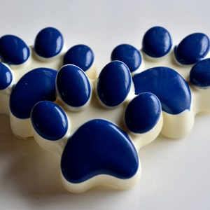 Penn State Chocolate Covered Cookies(6), PSU, Penn State Football Chocolate, Nittany Lion,Penn State Gift, State College, Chocolate