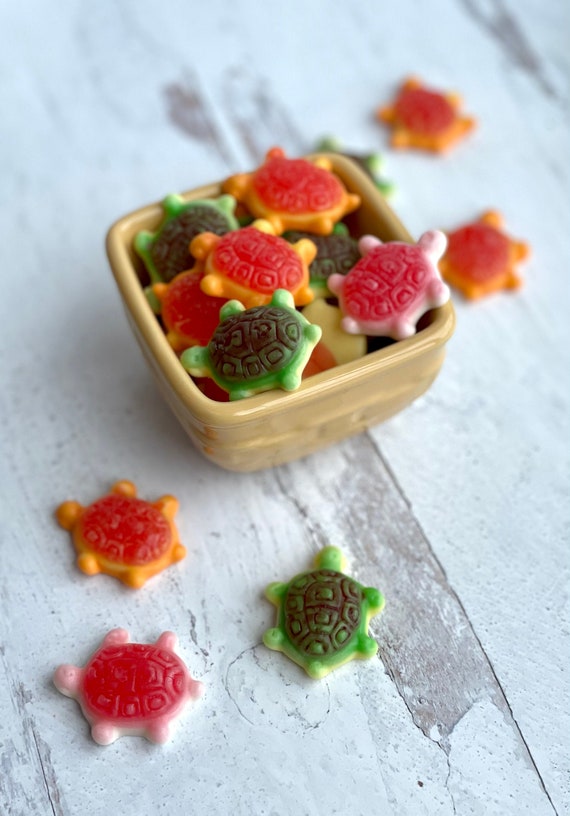 Gummies, Gummy Turtles, Gummy Candy, Candy Box, Candy Cart, Candy Jar, Candy Bags, Bulk Candy, Turtle, Candy, Candy Buffet, Gift for Kids Il_570xn