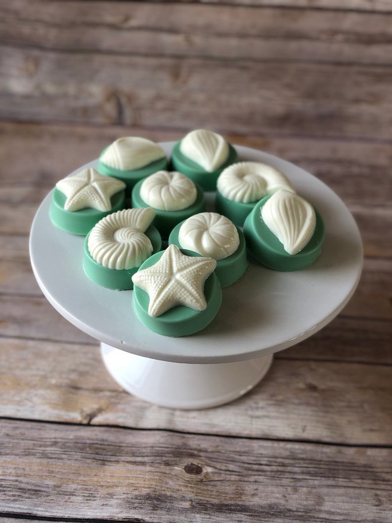 6 SEASHELL Chocolate Covered Oreo Cookie Favors Beach