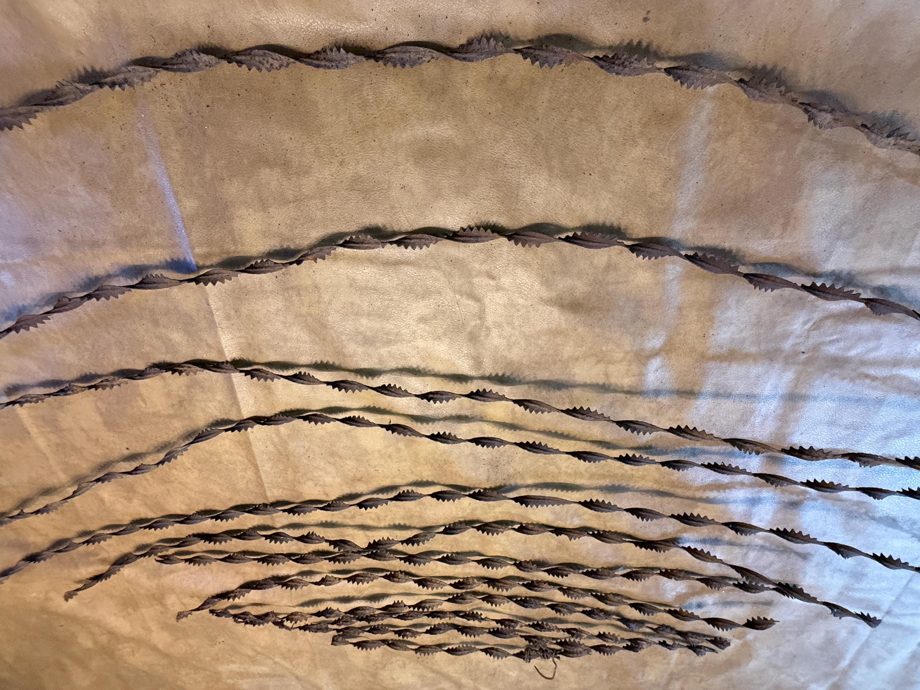Rare Antique Barbed Wire Allis Sawtooth Ribbon 1881-1899, Very Long, 12 ...