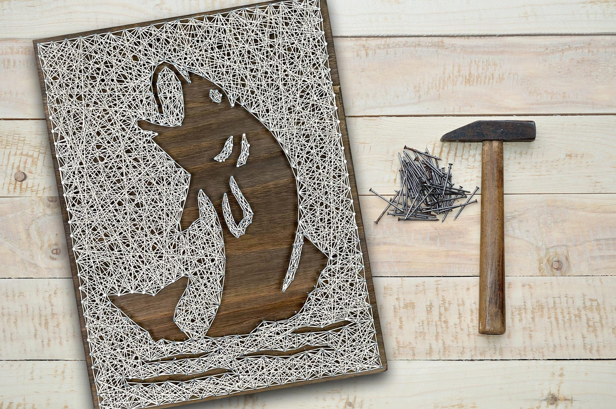 String Fish Crafts Fish String Art Kit - DIY Arts and Craft Kit for Adults | All Crafting ...