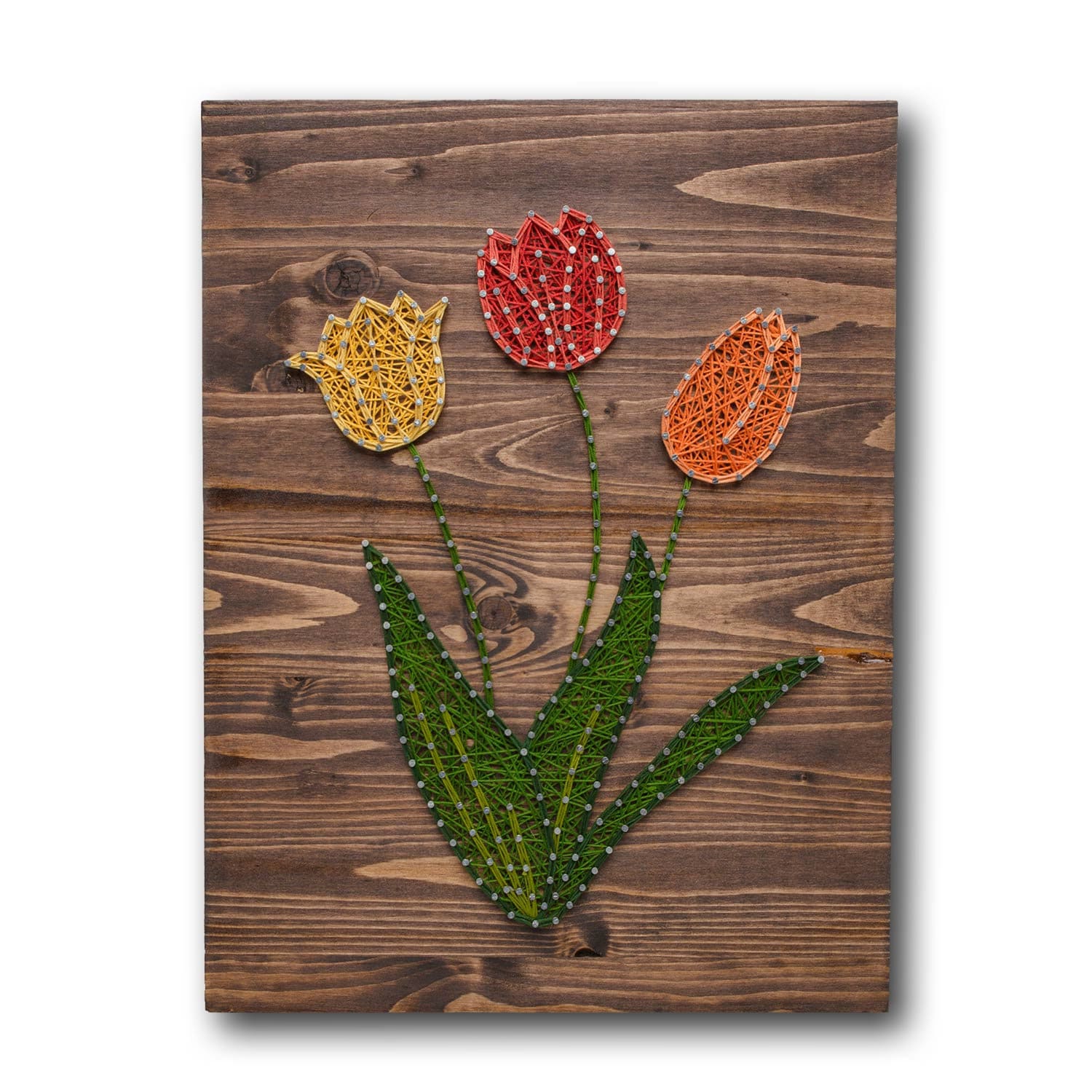 String Art DIY Kit Tulips String Art Crafts Kit DIY Crafts Etsy