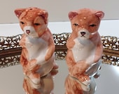Funny Cat Salt and Pepper Shakers - Cat Holding Tail Ceramic Salt and Pepper Kitty Themed Set