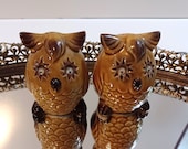 Vintage Salt and Pepper Shakers - Funny Owls Salt and Pepper Shakers - Googly Eyes Owl Summer and Fall Tableware Decor