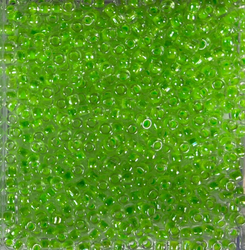 60 Seed Beads Japanese 30 grams X 10 colors Luminous Neon
