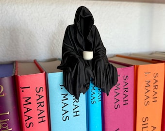 ACOTAR inspired Suriel with Tea Book Nook - Stay with the High Lord - The Night Court - Romantasy - Bookshelf Decor - Bookish Gift - Smut