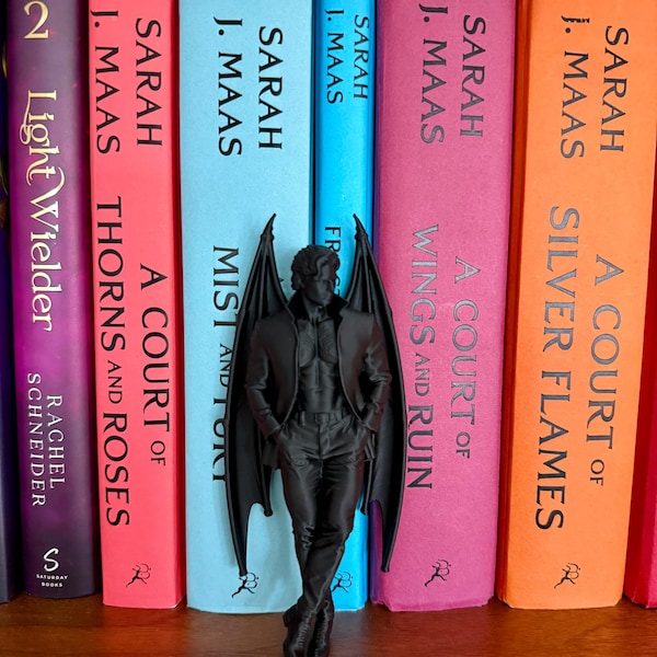 ACOTAR inspired Rhysand Book Nook - Bat Boys - Feyra - Shadow Daddy - Velaris - Romantasy - Bookshelf Decor - Bookish Gift - Smut