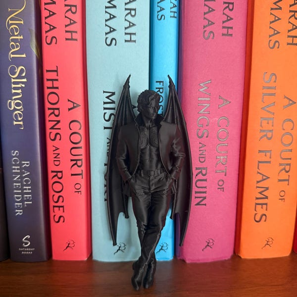 ACOTAR inspired Rhysand Book Nook - Bat Boys - Feyra - Shadow Daddy - Velaris - Romantasy - Bookshelf Decor - Bookish Gift - Smut