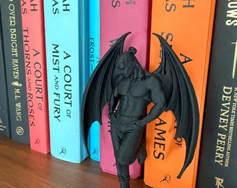 ACOTAR inspired Cassian Book Nook - Bat Boys - Nesta - Lord of Bloodshed - Romantasy - Bookshelf Decor - Bookish Gift - Smut