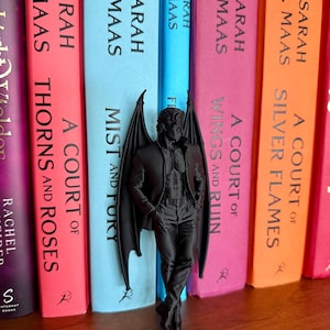 Rincón de lectura Rhysand inspirado en ACOTAR - Chicos murciélago - Feyra - Papá Sombra - Velaris - Romantasía - Decoración de estantería - Regalo para amantes de los libros - Contenido erótico imagen 3